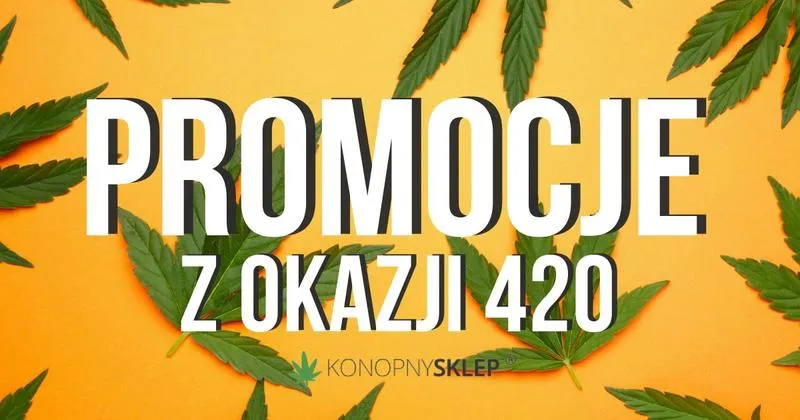 Akcesoria konopne retro: Czy to powrót do przeszłości czy chwilowa moda?
