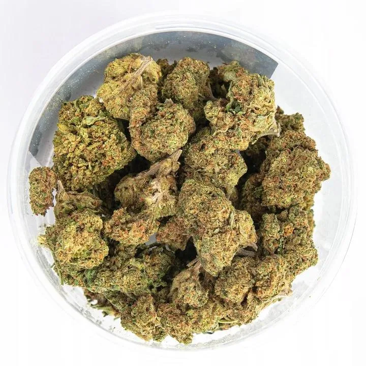 Susz konopny w Polsce: co warto wiedzieć o legalności i obowiązujących przepisach