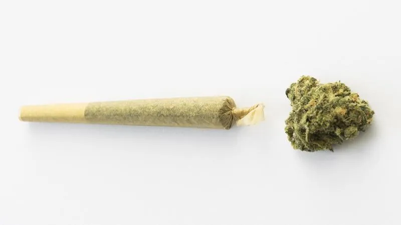 Zioła do palenia jako alternatywna droga do relaksu i harmonii w codziennym życiu