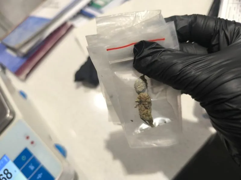 Czas wykrywalności THC w organizmie