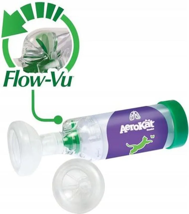 Komfort opiekunów i pacjentów