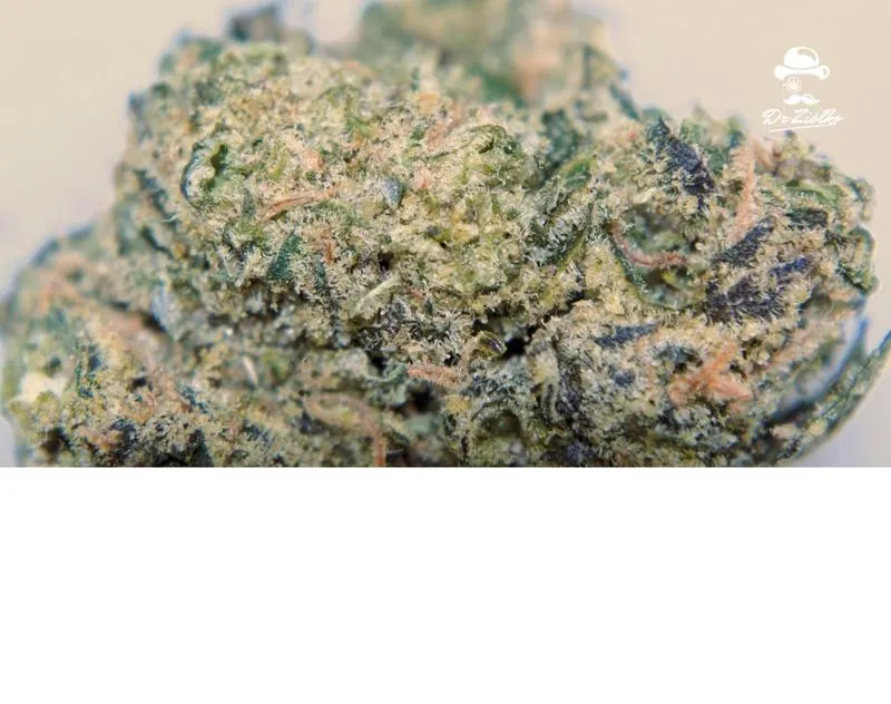 Legalizacja marihuany w Polsce