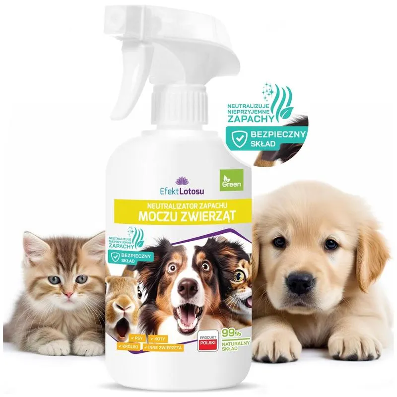 Świeże powietrze w domu