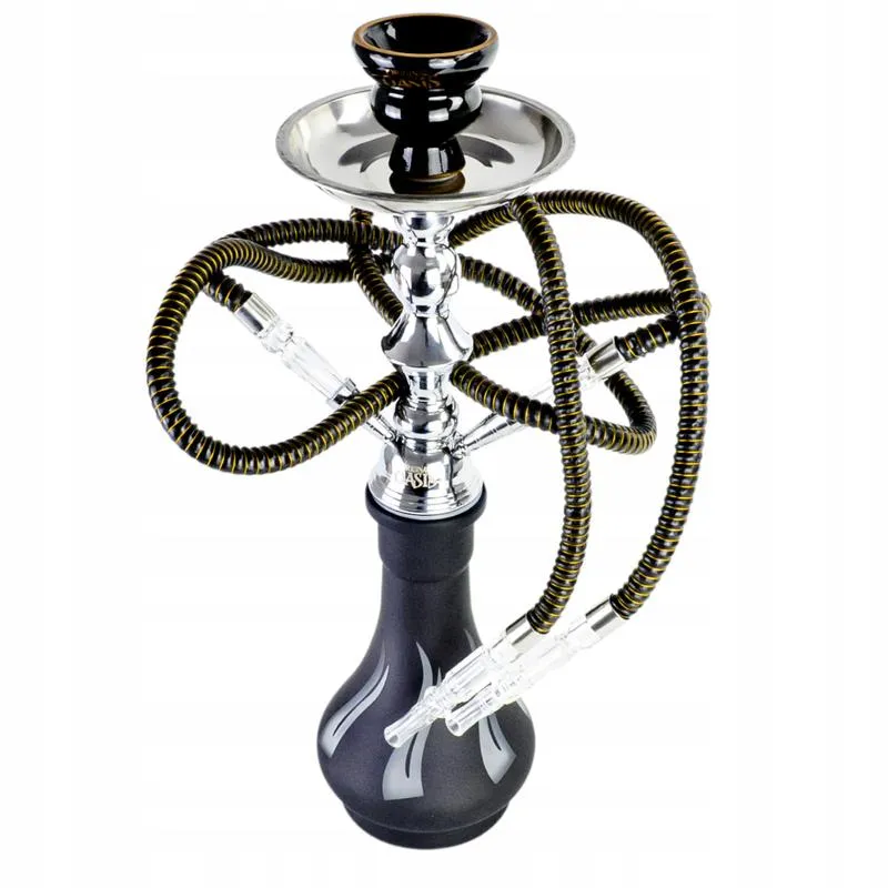 Szisza w kulturze i tradycji